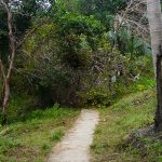 Wanderung auf Koh Phi Phi