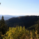 Die Natur im Manning Provincial Park, BC, Kanada