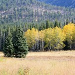 Entlang des Trans Canada Highways Richtung Banff, Kanada