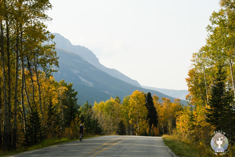 Der Bow Valley Parkway im Banff National Park, Kanada