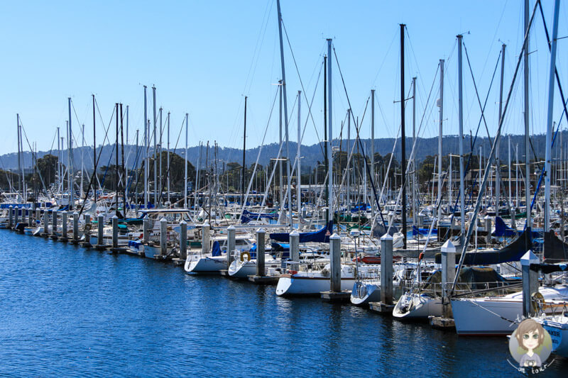 Boote im Hafen von Monterey