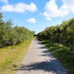 Eine deutsche Insel in der Nordsee ist Norderney