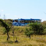 Blick auf die Bimmelbahn, die über die Insel Norderney fährt