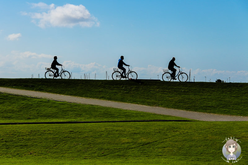 Norderney eignet sich wunderbar für eine Fahrradtour