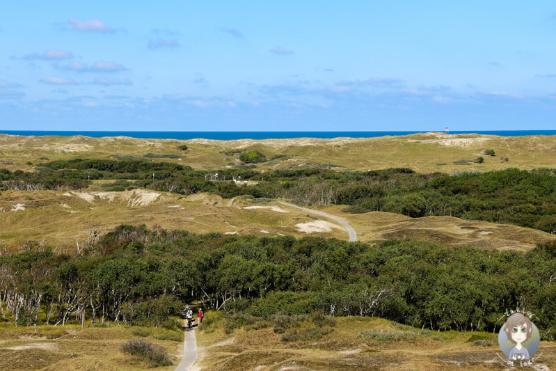 Weiter Blick über die Insel und die Nordsee