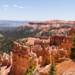 Hoodoos im Bryce