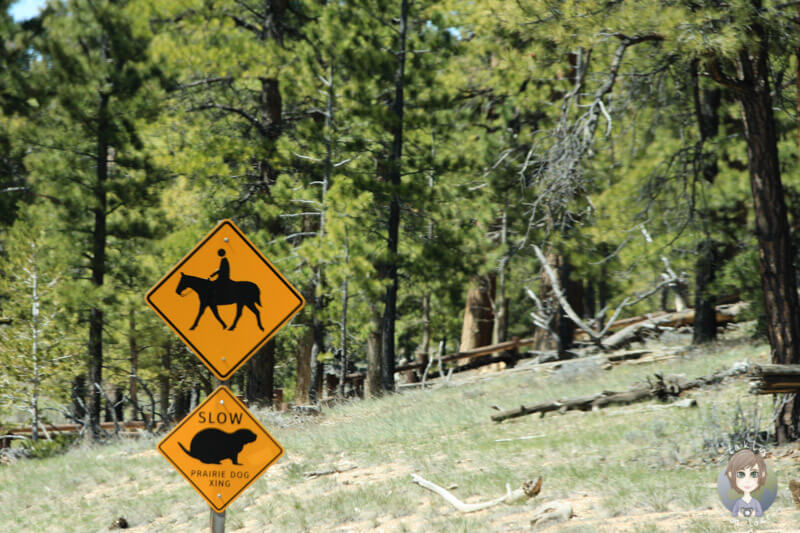 Verkehrszeichen im Bryce Canyon Nationalpark