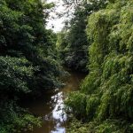 Spaziergang an der Erft in Bedburg