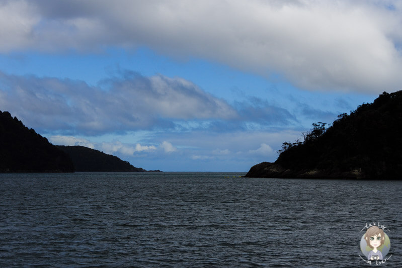 Wolken über dem Milford Sound