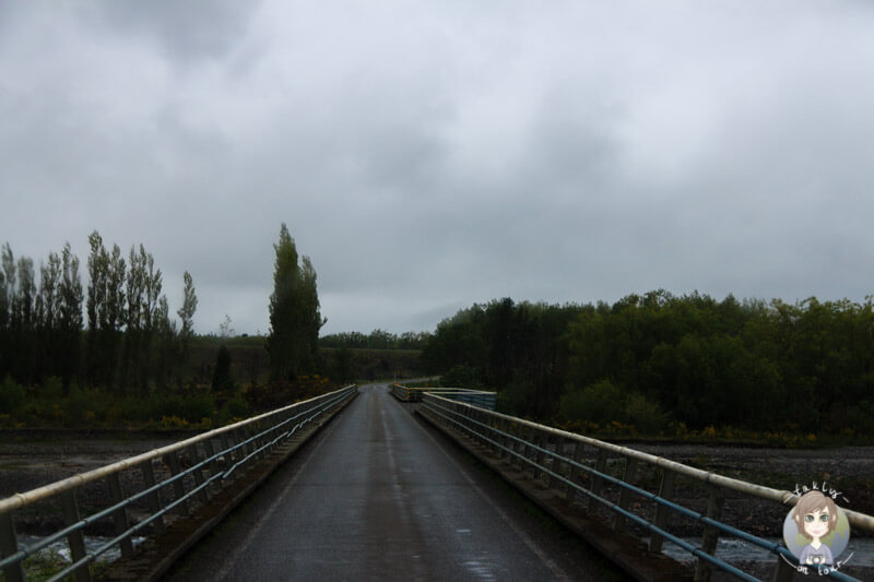 Eine Brücke über den Rakaia Gorge