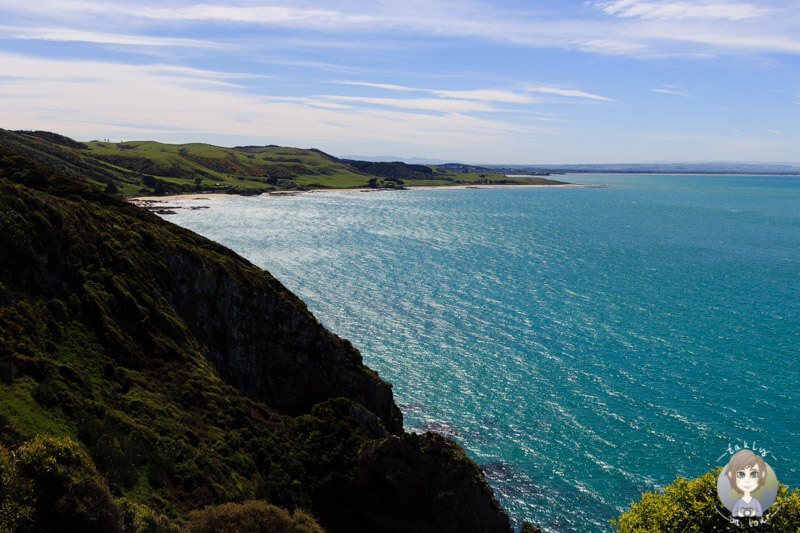 Blick über die Bucht am Nugget Point