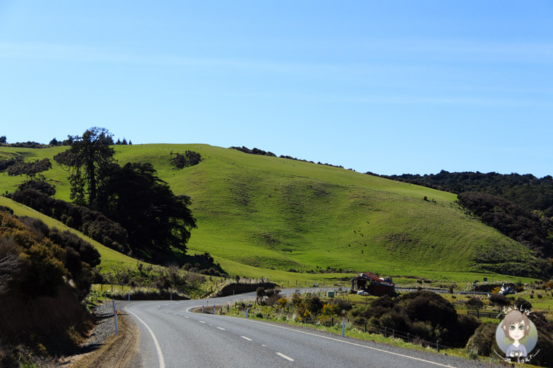 Fahrt durch die Catlins, atemberaubende Natur