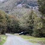 Stellplätze auf dem Craigieburn Shelter DOC Campground, Neuseeland