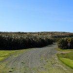 Zufahrt zum Campingplatz Curio Bay