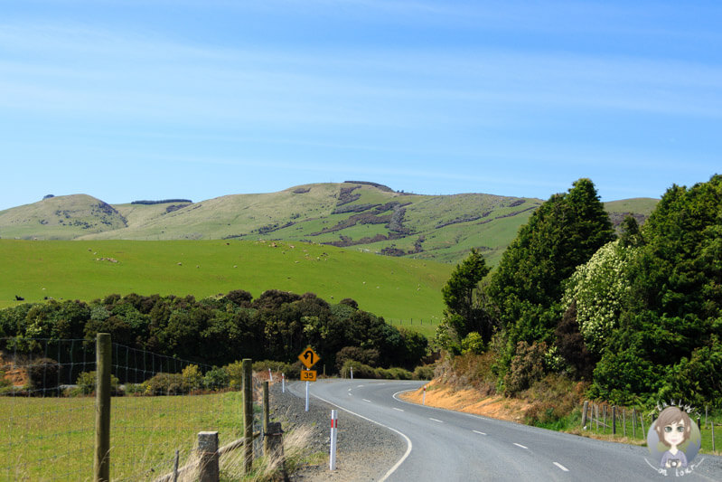 Fahrt durch die Region Catlins