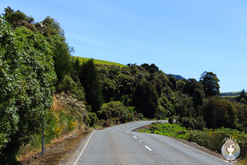 Fahrt zu den Purakaunui Falls