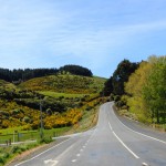 Fahrt Richtung Nugget Point