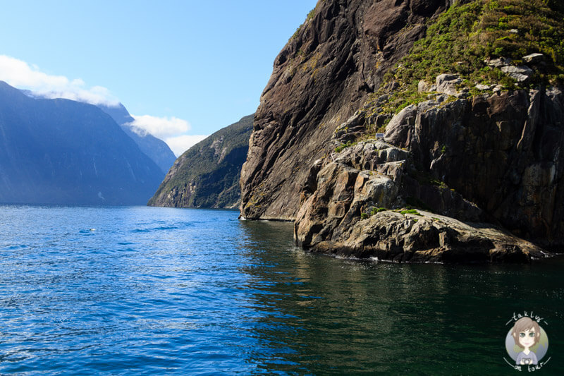 Sonne am Milford Sound