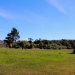 netter Freedom Campingplatz in Waikawa, Southland, neuseeland