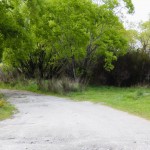 Freedom Camping am Lake Wakatipu in Glenorchy