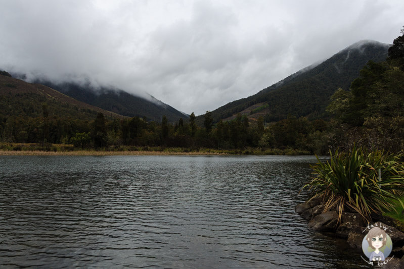 Blick auf den Lake Rotoroa