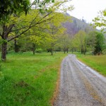 Freedom Camping im Motueka Valley, Neuseeland