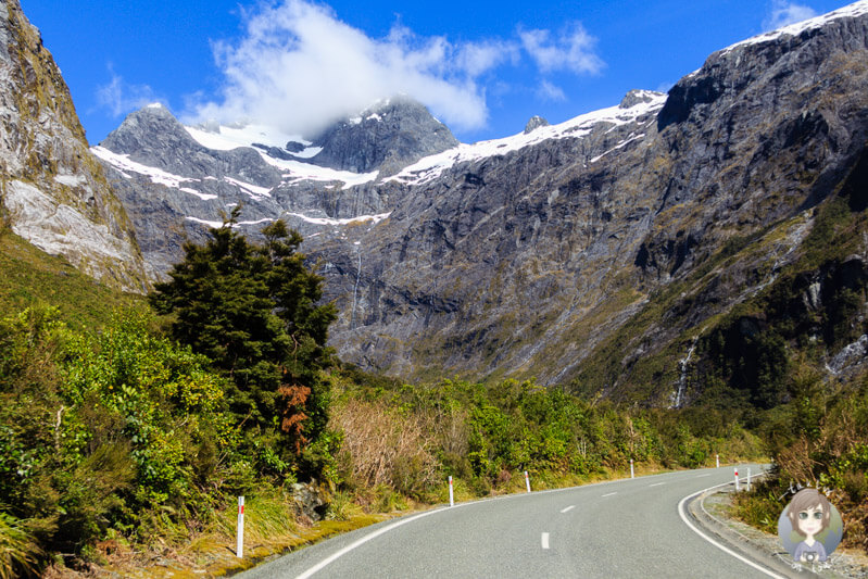 Fahrt über die Milford Road, Neuseeland