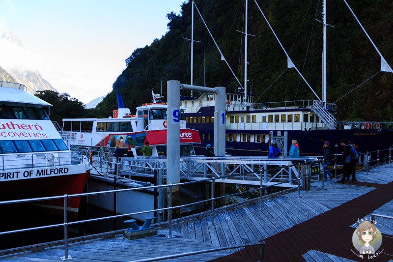 Ausflugsterminal am Milford Sound