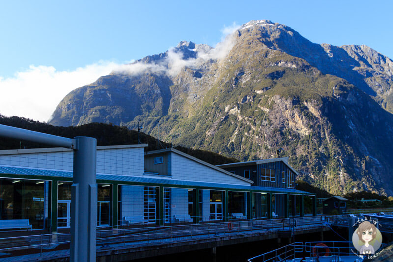 Schiffstouren am Milford Sound