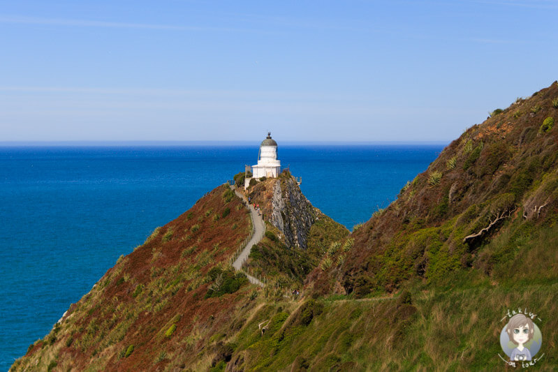 Leuchtturm am nugget Point von Neuseeland