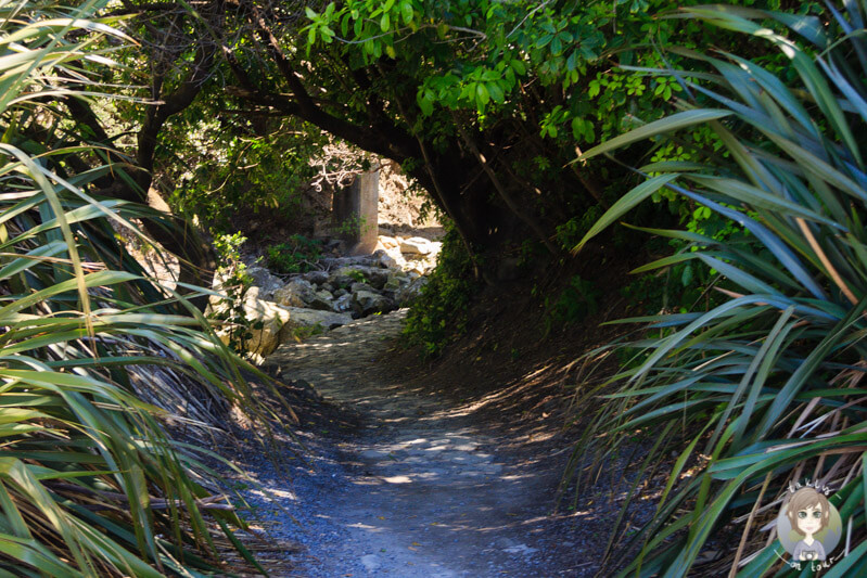 Ohau Stream Walk, Marlborough, Neuseeland