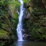 Der Wasserfall am Ohau Stream, Neuseeland