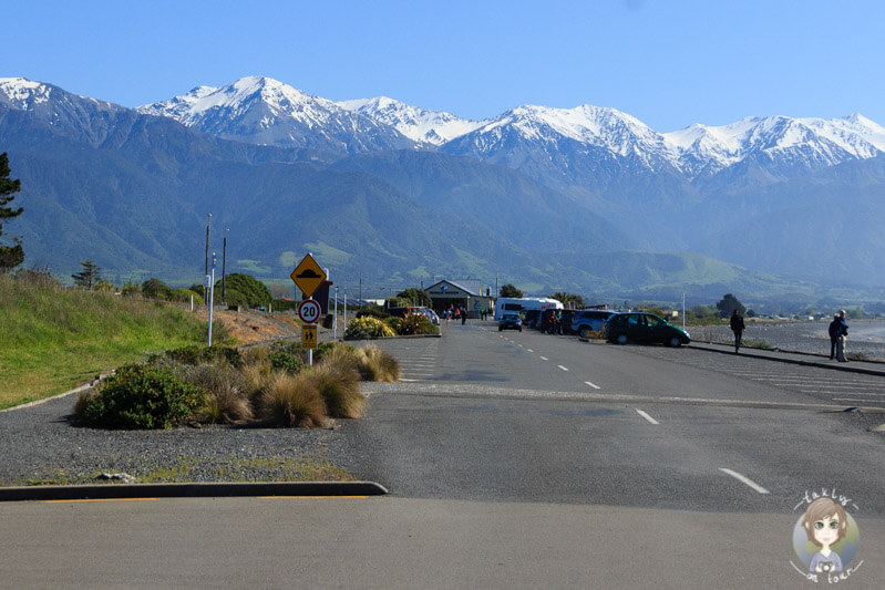 Whale Watching Center in Kaikoura