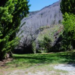 kostenlose Übernachtungsmöglichkeit in der Roaring Meg Recreation Area in Neuseeland