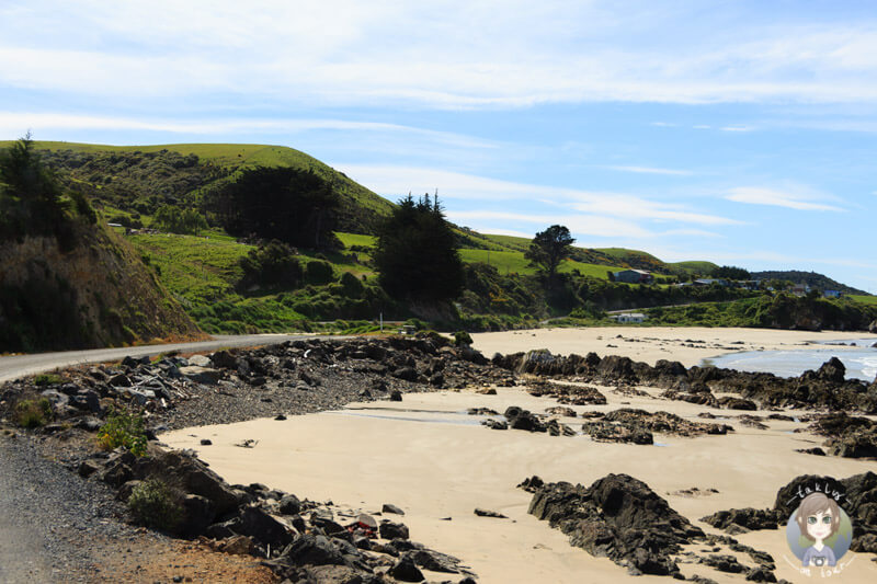 Strand in der Nähe des nugget Points, Otago