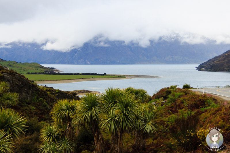 Viewpoint am Lake Hawea