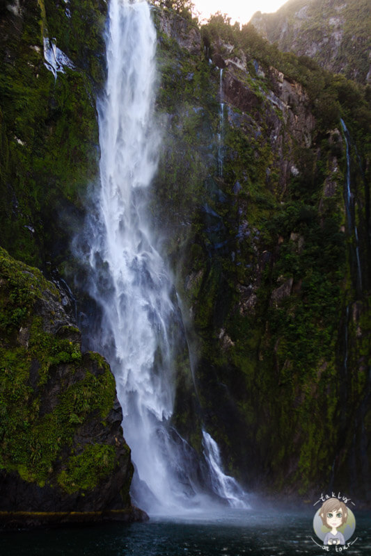 ein hoher Wasserfall am Milford Sound