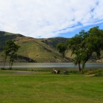 schöner Platz am See auf der Banks Peninsula