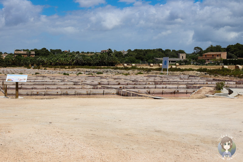 Das Gelände der Salzsalinen von Es Trenc, Mallorca