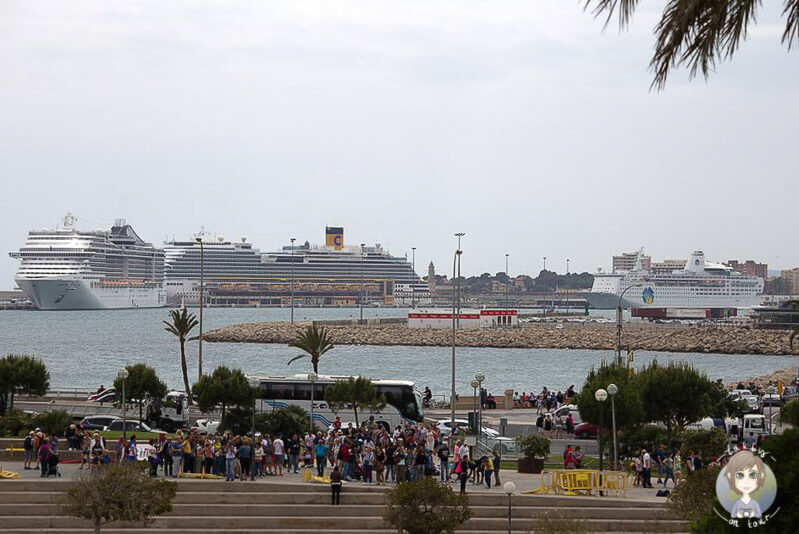 Aussicht von dem Vorplatz der Kathedrale La Seu auf den Hafen