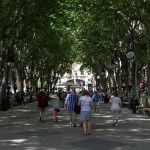 Die Allee Passeig de Born in Palma