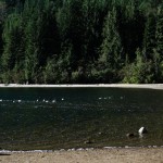 Der Blick vom Campingplatz auf den Hicks Lake