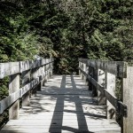 Der Start des Skunk Cabbage Trails, Mount Revelstoke National Park, Kanada