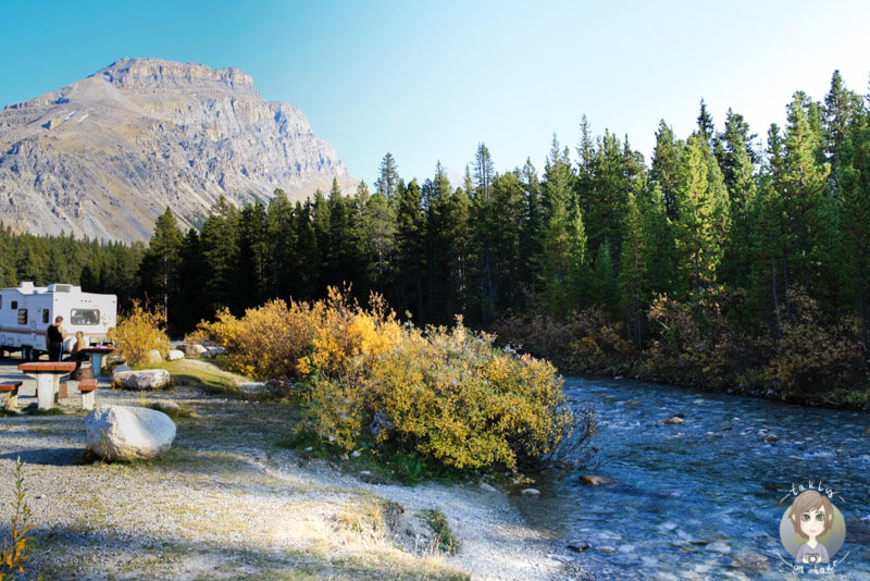 Campingplatz direkt am Mosquito Creek, Icefields Parkway, Kanada