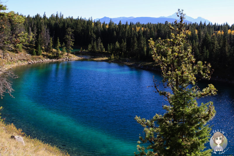 Einer der türkisschimmernden Seen im Valley of the Five Lakes, Kanada