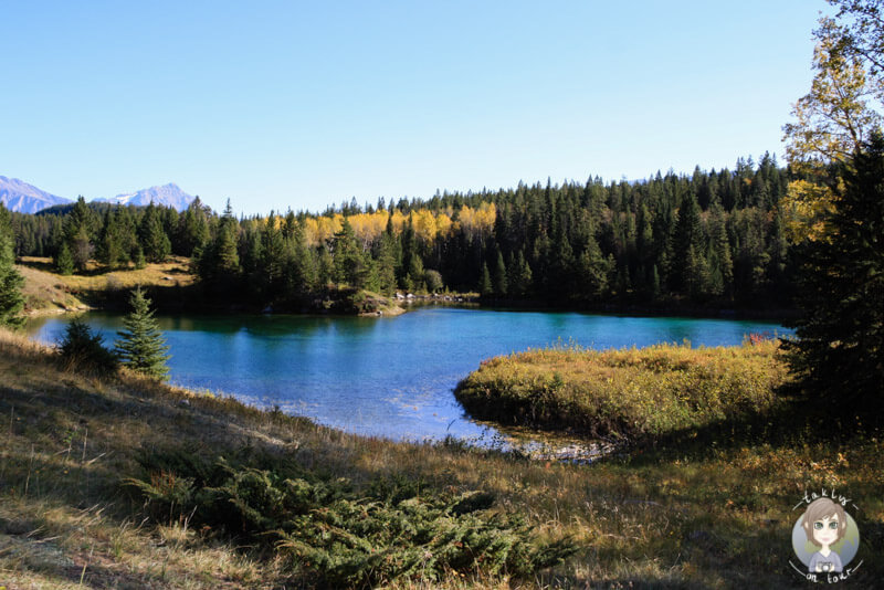 Ein kleiner See im Valley of the Five Lakes, Jasper, Kanada