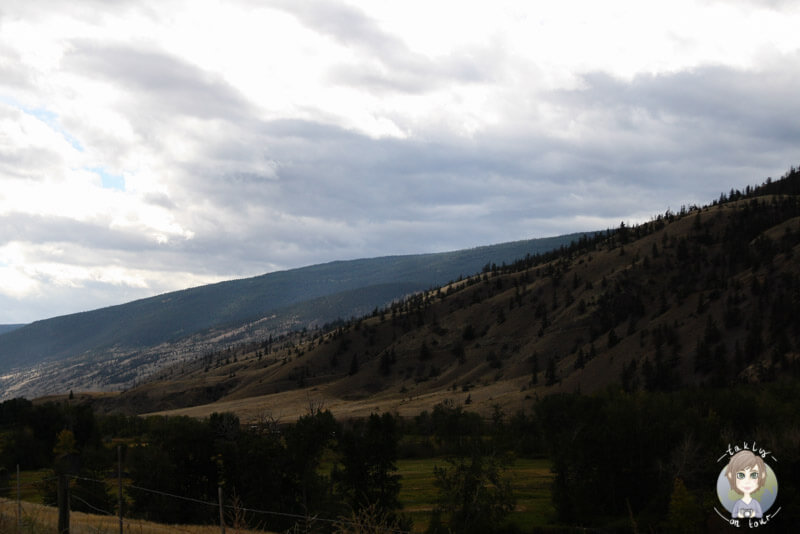 Die Landschaft entland des Highway 97 Richtung Lillooet, BC, Kanada