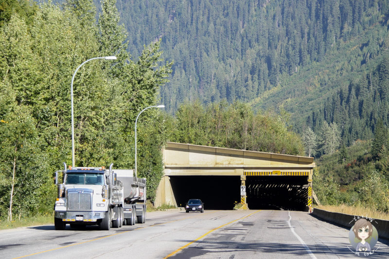 Überall am Rogers Pass gibt es Lawinenschutzwände