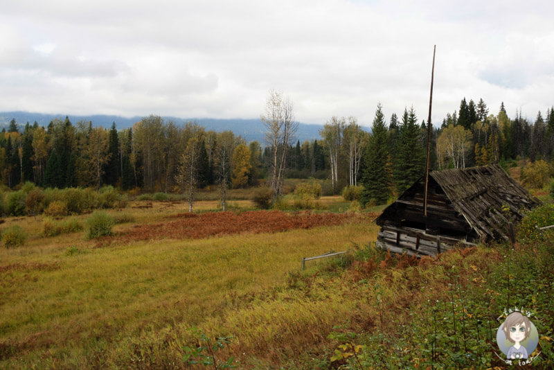 Rays Farm, Wells Gray Provincial Park, Kanada