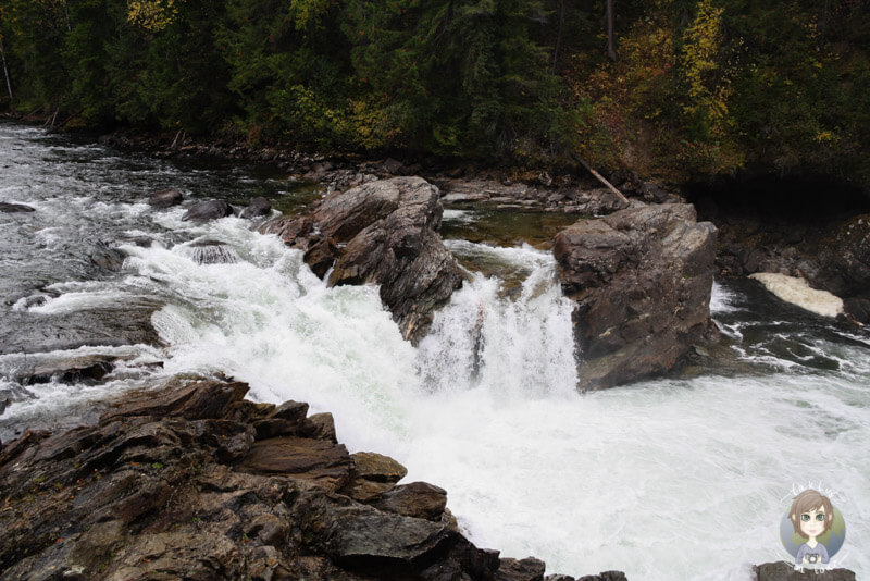 Stromschnellen im Wells Gray Provincial Park, BC, Kanada